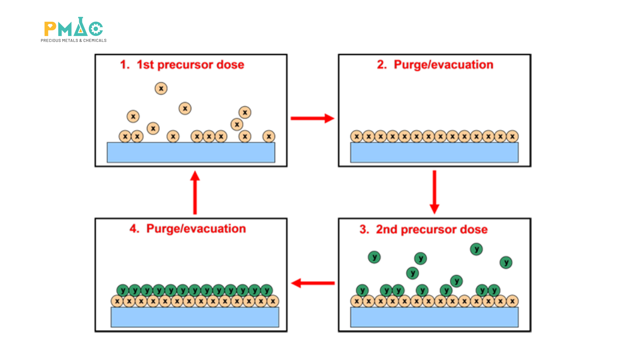 Atomic Layer Deposition (ALD) cycle