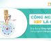 Công Nghệ XRF Là Gì? Ứng Dụng Công Nghệ XRF Trong Ngành Công Nghiệp