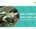 Blog-Pmac-may-phan-tich-kim-loai-la-gi