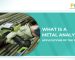 What is a metal analyzer
