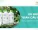Xu hướng toàn cầu hóa trong ngành hóa chất xi mạ