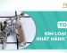 Top 5 kim loại quý nhất hành tinh