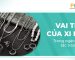 Vai trò của xi mạ trong ngành chế tác trang sức