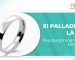 Xi palladium là gì?