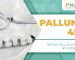 Blog-pmac-palluna-459-he-ma-palladium-nguyen-chat-nu-trang-a19