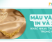 Màu vàng 1N và 2N trong xi mạ