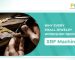 Why Every Small Jewelry Workshop Needs an XRF Machine?