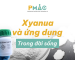 Xyanua và ứng dụng trong đời sống